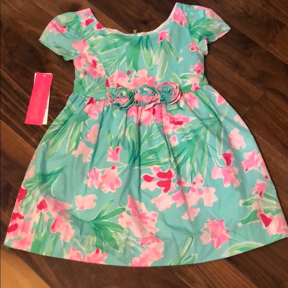 Lilly Pulitzer Other - Lilly Pulitzer dress in Isn’t she Lovely print